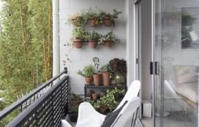 Tanaman Apa Saja Yang Cocok di Tempatkan di Balkon Apartemen