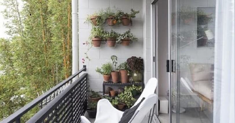 Tanaman Apa Saja Yang Cocok di Tempatkan di Balkon Apartemen